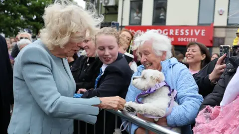 PA Media Queen Camilla has grey hair down to her shoulders and is wearing a light blue top. She is reaching out towards a white dog being held by an elderly lady who is part of a crowd