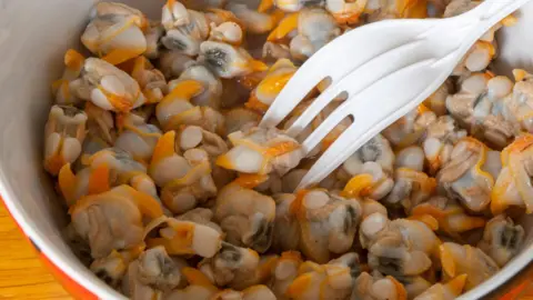Plastic fork in a bowl of shelled cockles