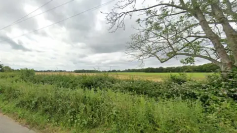 A hedge, field and tree near Alfold where a 400-home development is planned