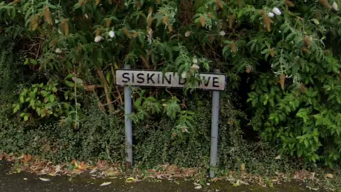 Google Sign which reads Siskin Drive in front of a bush