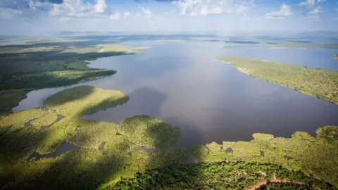 Scott Ramsay Akagera National Park, Rwanda