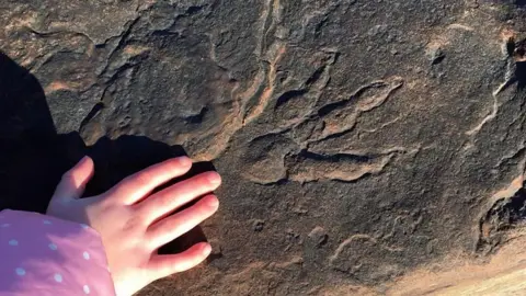 dinosaur footprint