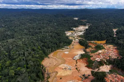 AFP A green Amazon rainforest stretches to the distant horizon, with blue mountains and sky, but in the foreground, a swath of land surrounding the river is bare and brown.