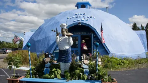 Joline Blais Wild Blueberry Land