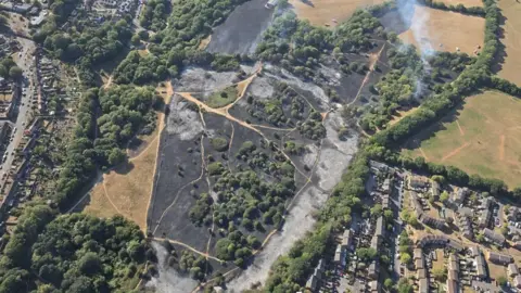 Devon and Somerset Fire and Rescue Service An aerial view of the damaged grassland. It is all black with green trees dotted around it. It is a large area which has been fire-damaged. 