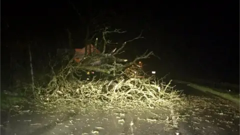 Pembrokeshire Road Policing Unit Fallen tree