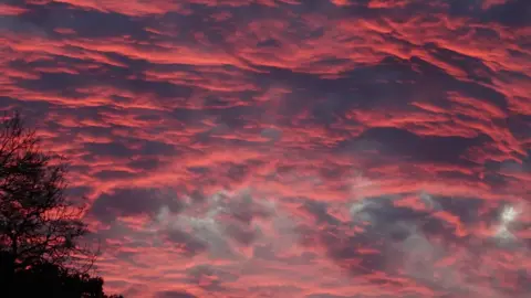 Lesley Adams Sunset in Yarnton