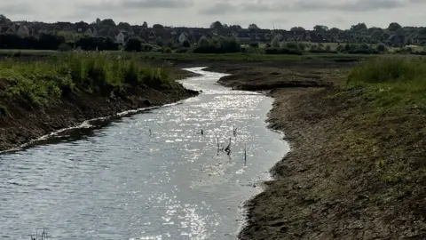 Nene Rivers Trust  The River Ise in Kettering