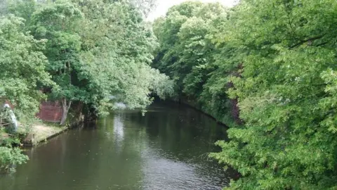 Gepgraph/N Chadwick River Wensum