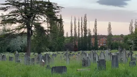 Gravestones in an overgrown part of a cemetery, with a housing estate in the background