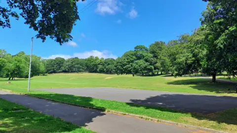 LDRS A large expanse of grass with dozens of trees and a pathway running through.