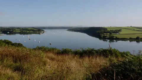 Adrian Burke The Cleddau estuary in Pembrokeshire. Green fields can be seen on either side of the waterway which is filled with small sailing boats and yachts.