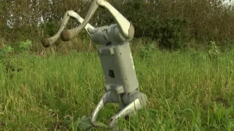 A robot canine  successful  a tract  lasting  connected  2  legs.