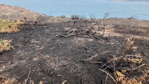 Burnt ground with destroyed trees and bushes and the sea in the distance.