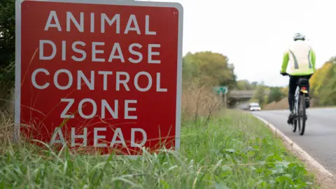 On a patch of grass by the side of a road there is a red sign which has been propped up. In white writing it reads, ANIMAL DISEASE CONTROL ZONE AHEAD. In the distance there is a car coming up the road and a cyclist wearing a fluorescent jacket cycling in the opposite direction, heading towards the control zone.