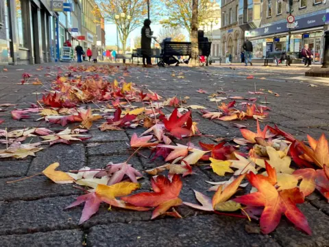 BBC Weather Watchers/Michael Roscamp A close-up of red and orange autumn leaves on the ground in Carlisle. Shops like Boots and Go Outdoors line the street on both sides, with a few people walking up the street in the distance. The sky is blue and sunny.