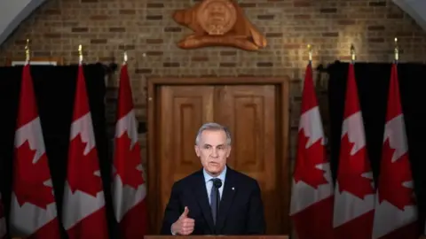 Reuters Mark Carney speaks at a podium against a backdrop of a brick wall, wooden doors and Canadian flags