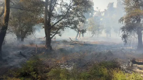 Biggleswade Community Fire Station Image of the burning peatland, with plumes of white smoke in the air and burnt ground.