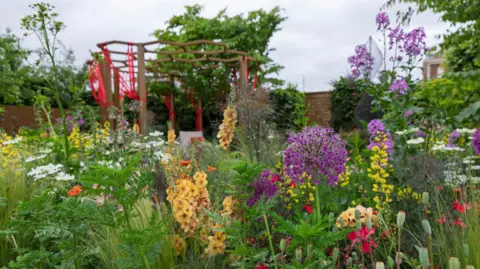 RHS/Neil Hepworth A vast number of plants sit in the foreground showing beautiful colours with the shelter