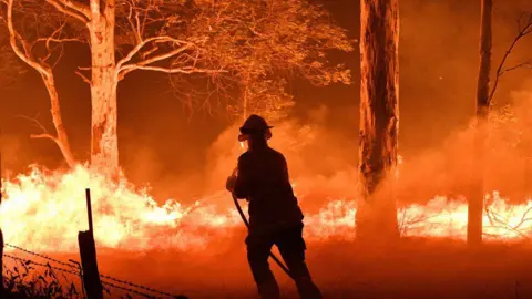 Getty Images A firefighter using a hose on a major bushfire with bright flames covering the ground