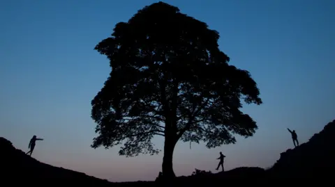 Silhouette of the tree with three people walking around it base
