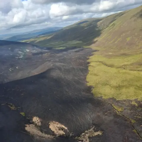 SFRS aerial shot of scorched earth