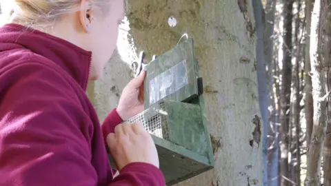 Cameron Singh-Johnstone Box check