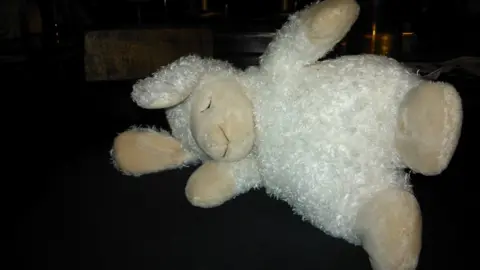 Trevor Prideaux A photo of a toy sheep lying on its side 'asleep'