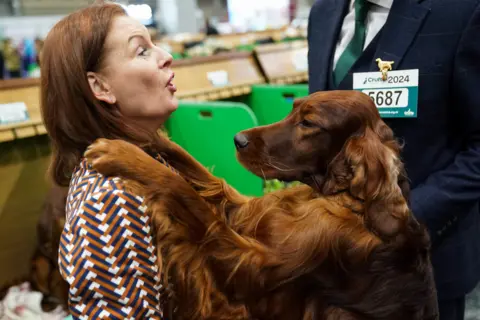 Jacob King/PA Wire A handler with their Irish Setter on day two