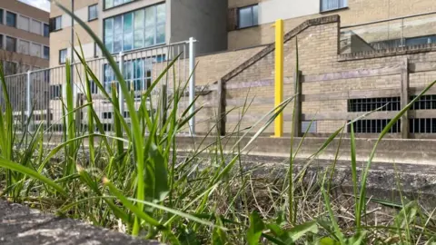 Jozef Hall/BBC The Cambridge section of the guided busway with new fencing