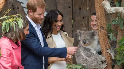 PA Prince Harry, Meghan and a koala