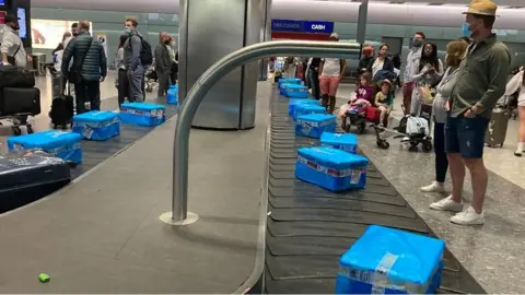 Fish on a conveyor belt