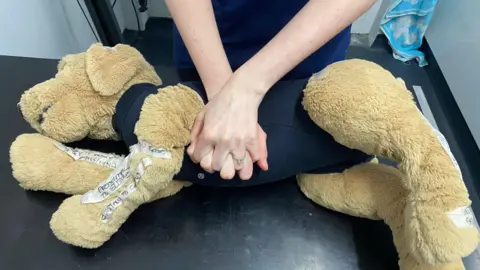 Hands clasped over a plush toy dog as part of a CPR demonstration.