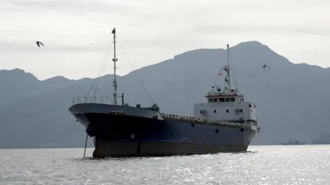 Some birds fly past a large vessel at the Strait of Hormuz, off the coast of Oman’s Musandam province, on 12 April