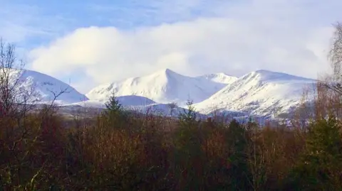 Highland Rose/BBC Weather Watchers A view over forestry to snow covered mountains in the Highlands.