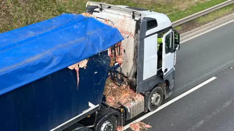 A lorry with a white cab and dark blue trailer with a light blue cover, is parked at the side of a motorway with offal dropping out of the trailer and onto the road.