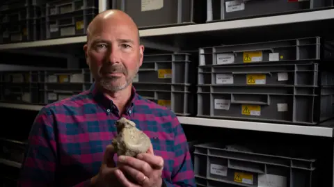Tony Jolliffe/BBC News A bald headed man with a grey beard and moustache and wearing a red and blue checked shirt is looking into the camera. He is holding the fossilised vertebrae of the Titanosaur close to his chest with both hands. Behind him are three levels of light grey shelves with rows of dark grey boxes stacked up in columns of three. Each one has several yellow and white labels with their catalogue numbers. 