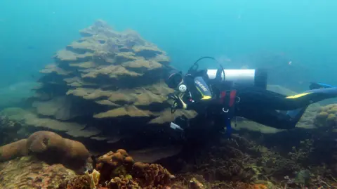 Fernando Zapata Valeria Pizarro diving down to the Varadero reef