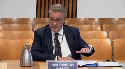 Prof Iain Gillespie wearing a blue suit and tie sits at a committee table with a nameplate in front of him. He has his left hand raised to make a point 