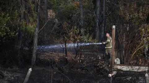 A firefighter in full brown gear with yellow reflective strips is spraying water from a hose at charred and blackened trees and bushes.