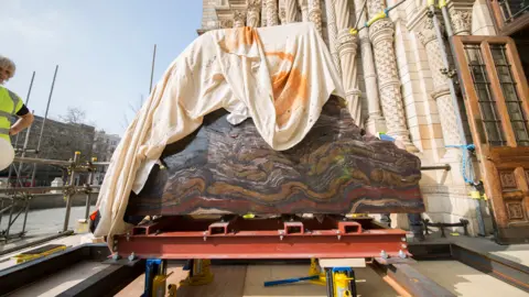 Lucie Goodayle Image Resources NHM London BIF