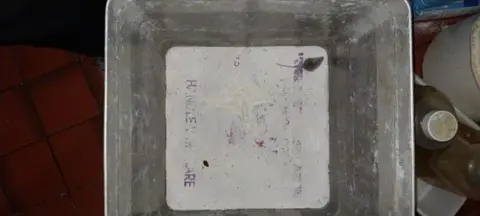 Gloucester City Council A top down view into a food storage container with a white bottom, where a mouse is sitting inside. There is dirty orange tiled flooring and bottles of oil or cleaning products.