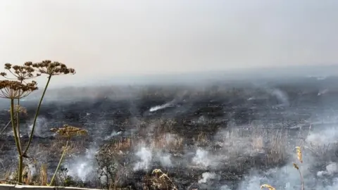 Andy Barr Field after fire