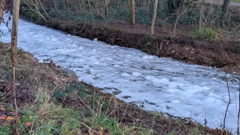 The river with a white surface and bumpy areas. It is between river banks which have grass and brown leaves and foliage 