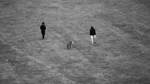 Photograph from the series Field, 2020