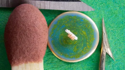 David A Lindon An artwork of a hand grasping a scroll. It is so tiny that in comparison, the artist has pot a knife point, a needle point and a match point to showcase how minute it is.