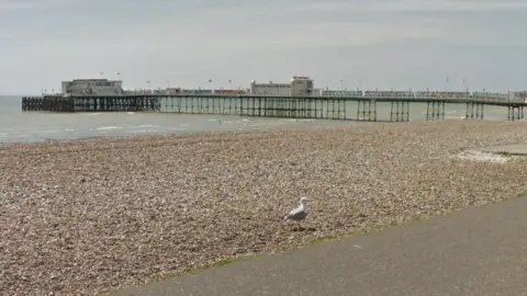 Google Gull on Worthing beach