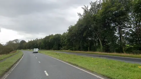 A dual carriageway with grassy borders down the middles and on either side. There route is bordered by tall, green trees on the right and spiny hedges on the left. There is a white van driving on the left hand side of the road.
