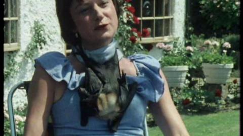 Cherry, wearing a blue dress and sitting in her garden, with Balls the fruit bat hanging upside down around her neck.