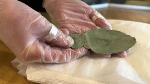 A close up of the spoon being held by hands wearing plastic gloves. It is green, it has a broad, strawberry-shaped bowl and a circular handle with spiral designs.